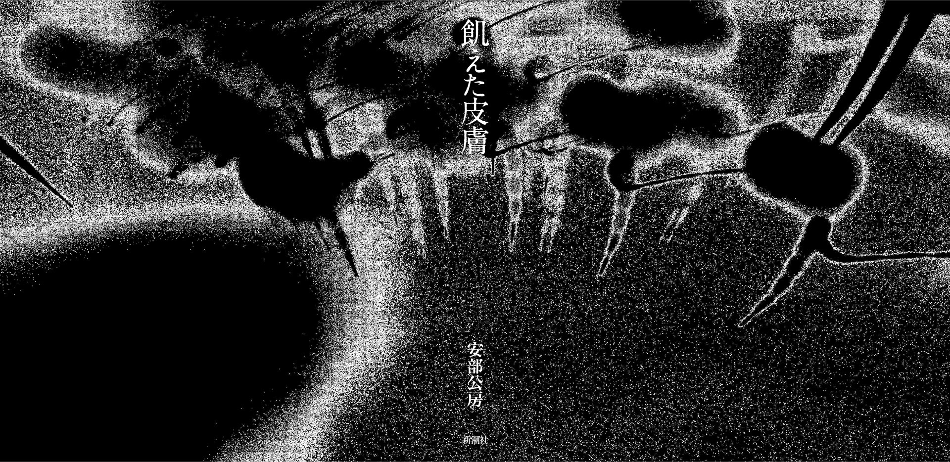 飢えた皮膚frontcover